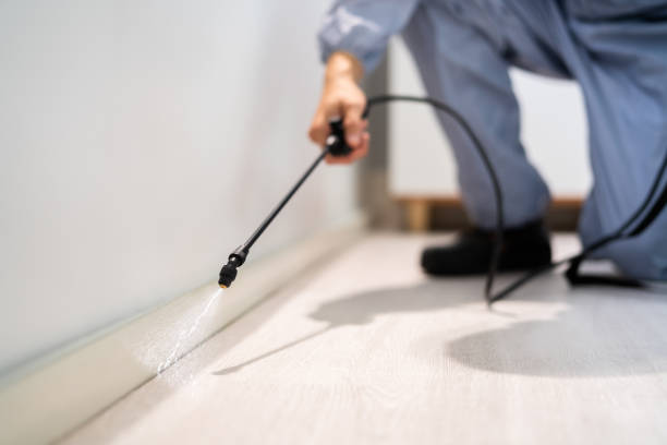 Licensed Cockroach Control service in Dearborn Heights, MI - Nex Pest Control