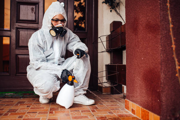Reliable Cockroach Control contractor in Dearborn Heights, MI by Nex Pest Control